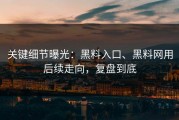 关键细节曝光：黑料入口、黑料网用后续走向，复盘到底