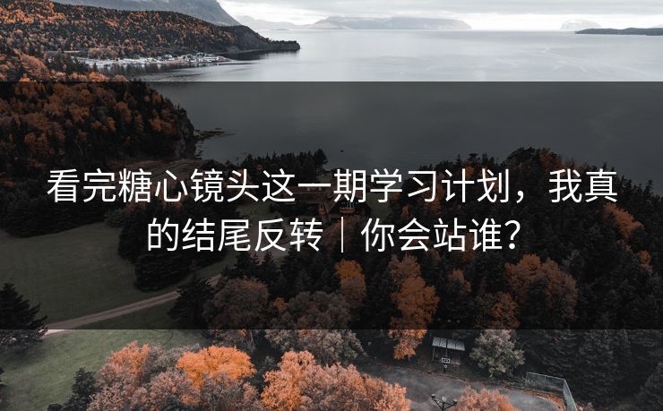 看完糖心镜头这一期学习计划，我真的结尾反转｜你会站谁？