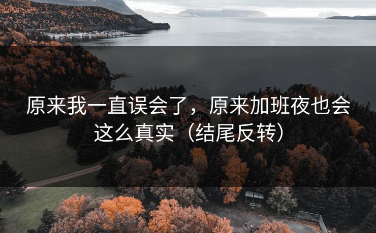 原来我一直误会了，原来加班夜也会这么真实（结尾反转）