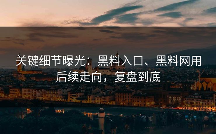 关键细节曝光：黑料入口、黑料网用后续走向，复盘到底