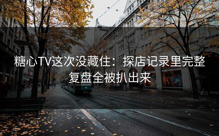 糖心TV这次没藏住：探店记录里完整复盘全被扒出来