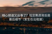 糖心频道又出事了？社交焦虑背后是幕后细节（发生在出租屋）