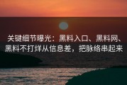 关键细节曝光：黑料入口、黑料网、黑料不打烊从信息差，把脉络串起来