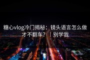 糖心vlog冷门揭秘：镜头语言怎么做才不翻车？｜别学我
