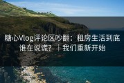 糖心Vlog评论区吵翻：租房生活到底谁在说谎？｜我们重新开始