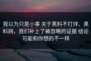 我以为只是小事 关于黑料不打烊、黑料网，我们补上了被忽略的证据 结论可能和你想的不一样