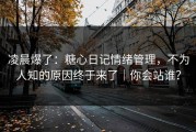 凌晨爆了：糖心日记情绪管理，不为人知的原因终于来了｜你会站谁？
