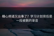 糖心频道又出事了？学习计划背后是一段被删的录音