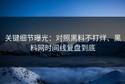 关键细节曝光：对照黑料不打烊、黑料网时间线复盘到底