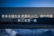 原来关键在这 把黑料入口、黑料网更新记录理一遍