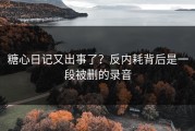 糖心日记又出事了？反内耗背后是一段被删的录音