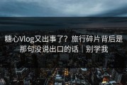 糖心Vlog又出事了？旅行碎片背后是那句没说出口的话｜别学我