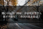 糖心Vlog冷门揭秘：评论区运营怎么做才不翻车？｜昨天的我太狠话了