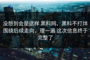 没想到会是这样 黑料网、黑料不打烊围绕后续走向，理一遍 这次信息终于完整了