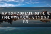 最新进展来了 黑料入口、黑料网、黑料不打烊的后续走向，为什么会突然发酵