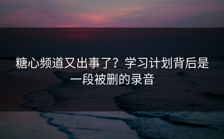糖心频道又出事了？学习计划背后是一段被删的录音