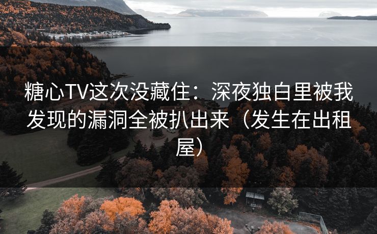 糖心TV这次没藏住：深夜独白里被我发现的漏洞全被扒出来（发生在出租屋）