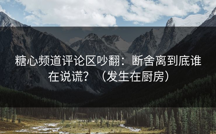 糖心频道评论区吵翻：断舍离到底谁在说谎？（发生在厨房）