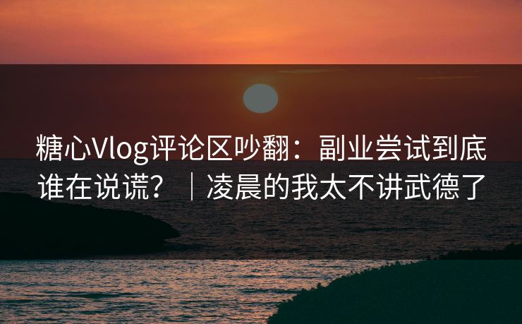 糖心Vlog评论区吵翻：副业尝试到底谁在说谎？｜凌晨的我太不讲武德了