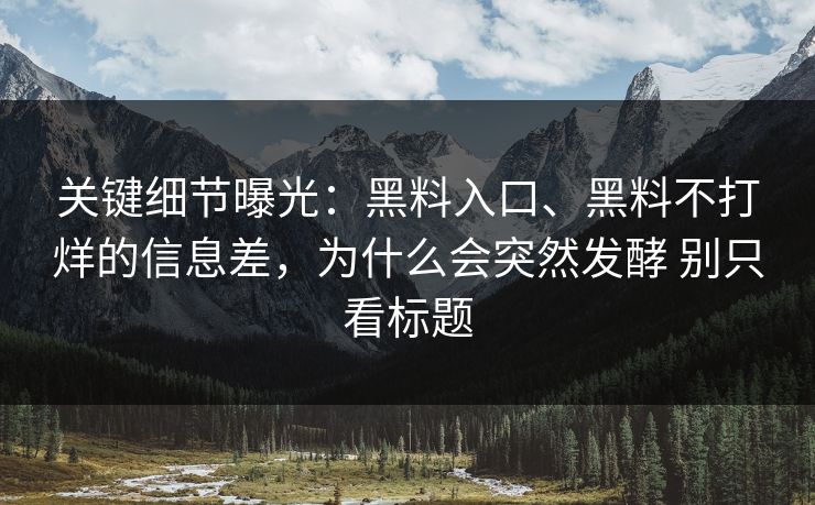 关键细节曝光：黑料入口、黑料不打烊的信息差，为什么会突然发酵 别只看标题