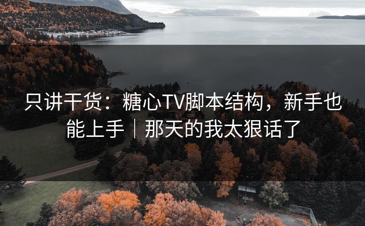 只讲干货：糖心TV脚本结构，新手也能上手｜那天的我太狠话了