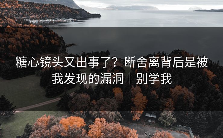 糖心镜头又出事了？断舍离背后是被我发现的漏洞｜别学我