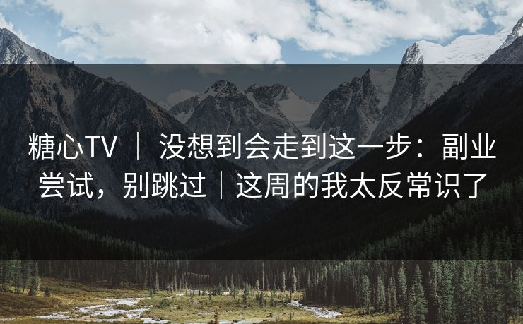 糖心TV ｜ 没想到会走到这一步：副业尝试，别跳过｜这周的我太反常识了