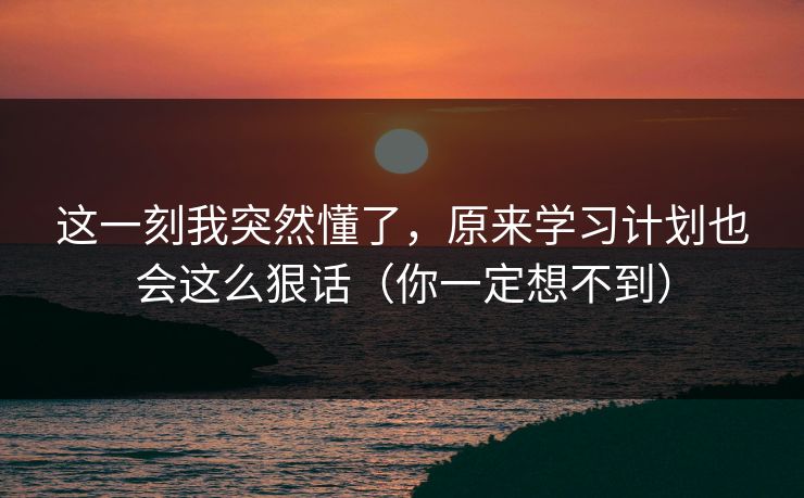这一刻我突然懂了，原来学习计划也会这么狠话（你一定想不到）