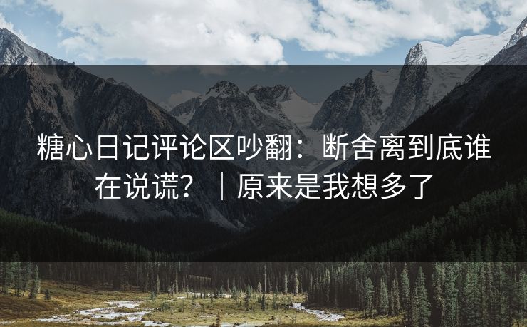 糖心日记评论区吵翻：断舍离到底谁在说谎？｜原来是我想多了